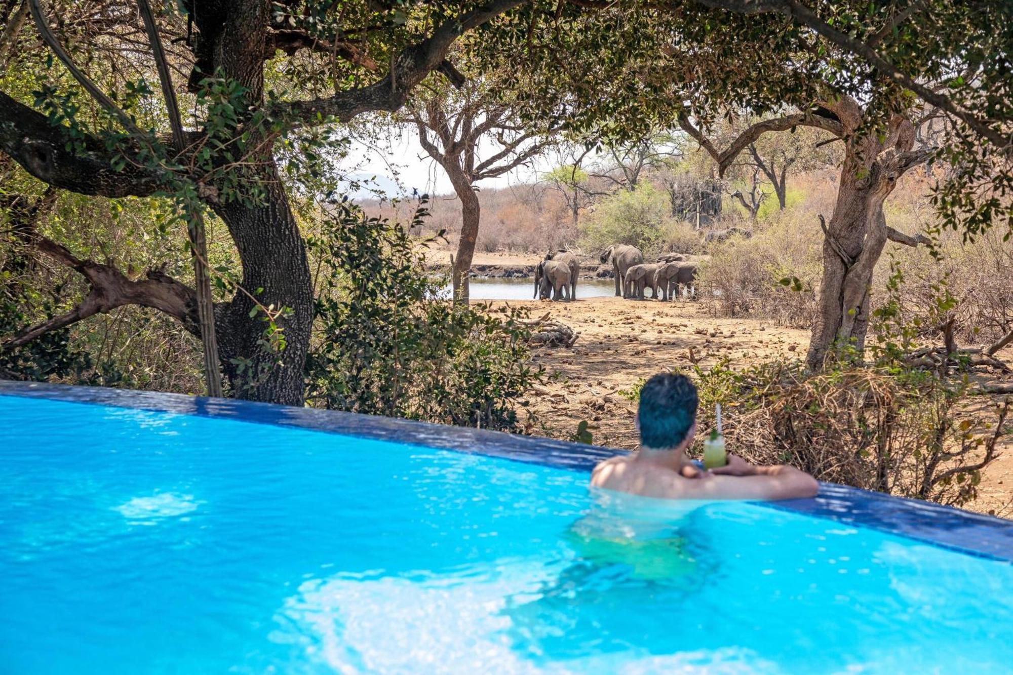 Tuningi Safari Lodge Заповедник Мадикве Экстерьер фото