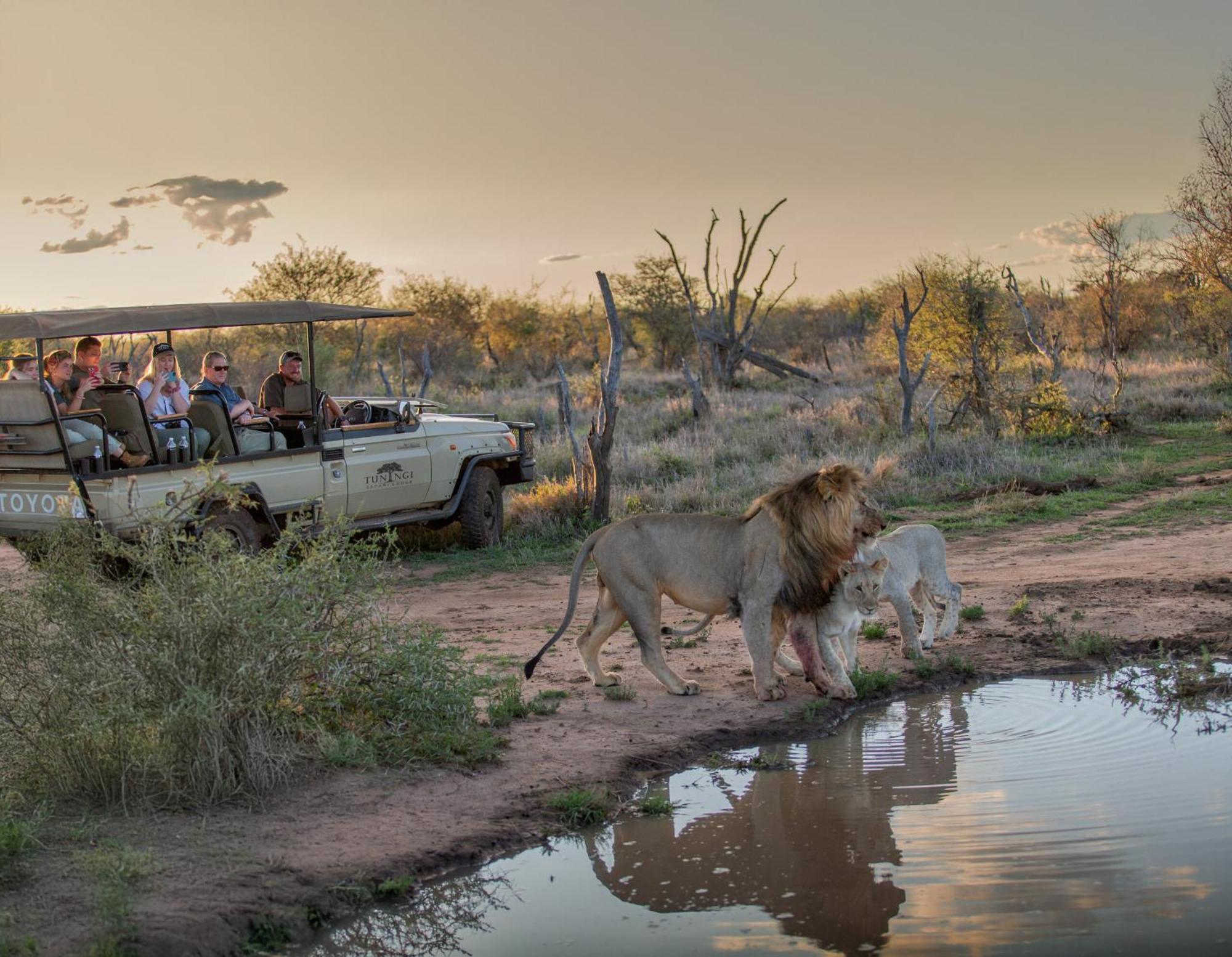 Tuningi Safari Lodge Заповедник Мадикве Экстерьер фото
