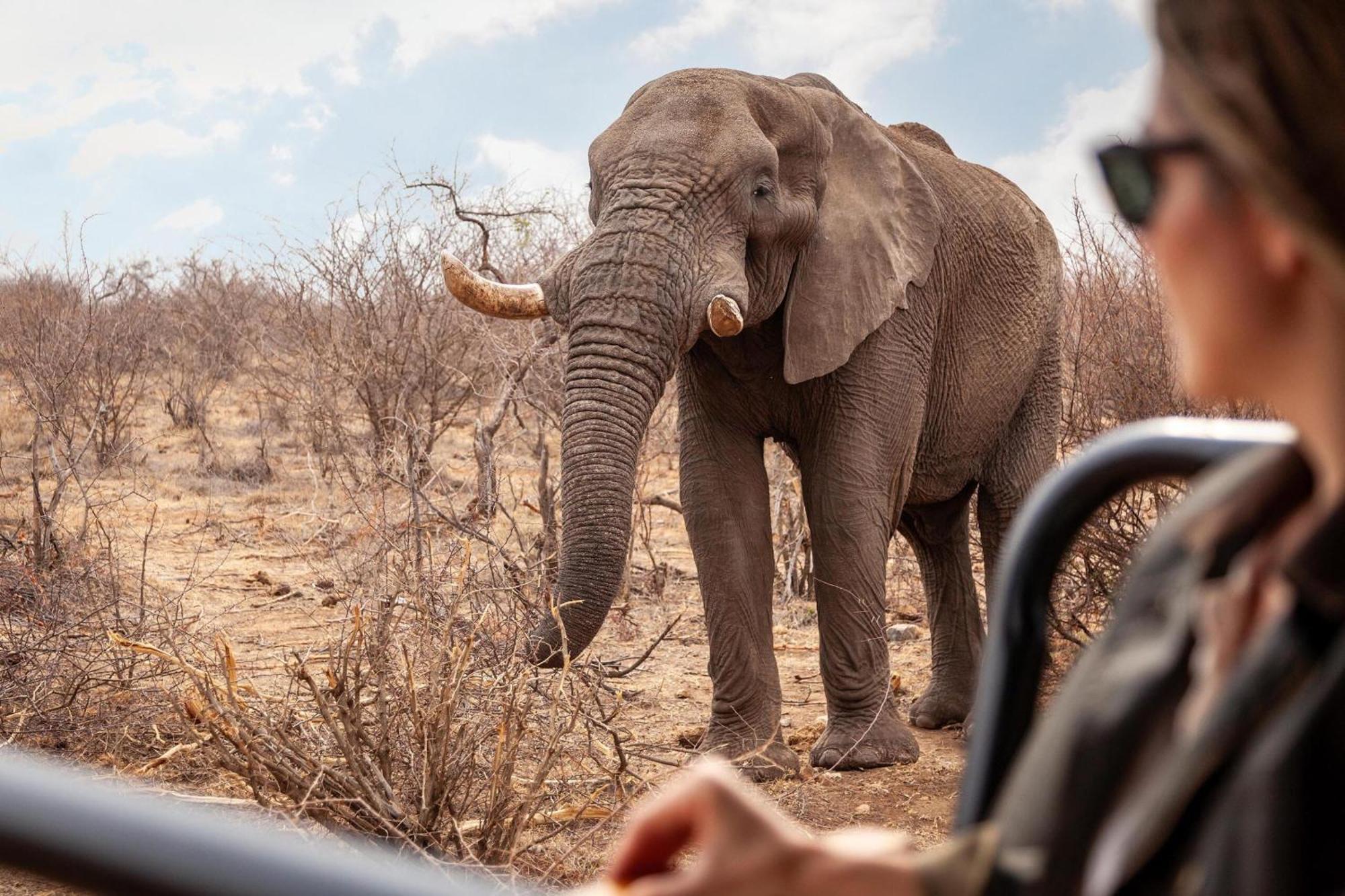 Tuningi Safari Lodge Заповедник Мадикве Экстерьер фото